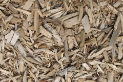 biomass boilers Gellifor